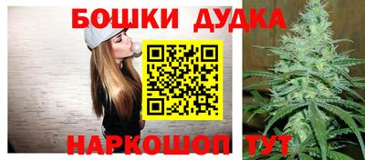 прущие грибы Камышлов