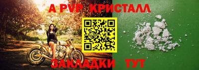 прущие грибы Камышлов