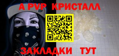 прущие грибы Камышлов