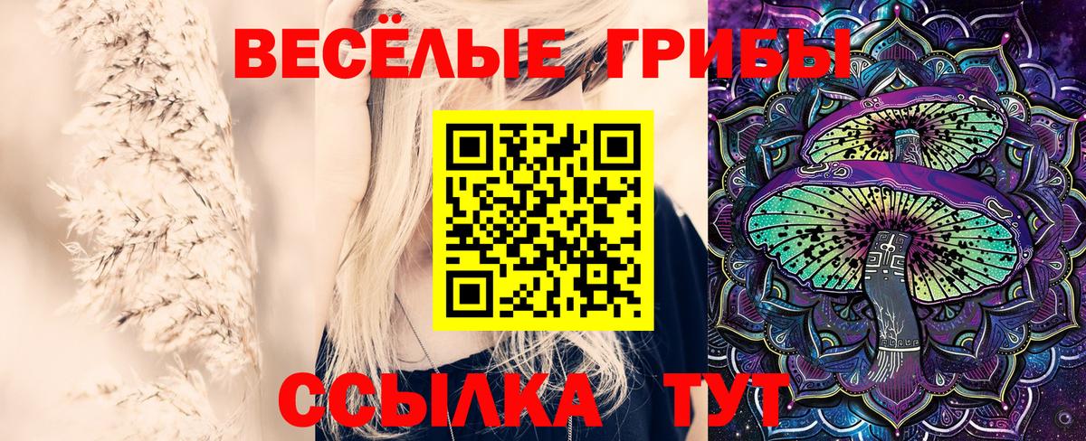 купить наркотик  Вход с VPN  Лесосибирск  Галлюциногенные грибы прущие грибы 