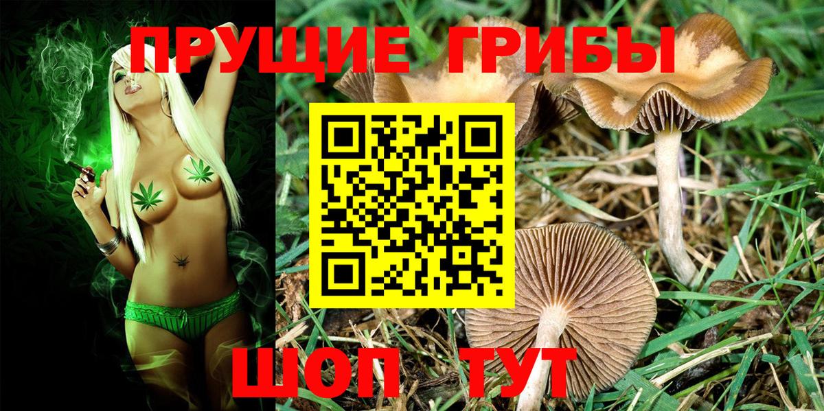 Псилоцибиновые грибы GOLDEN TEACHER Лесосибирск